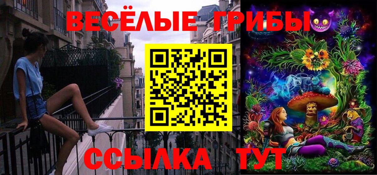 Тара  Псилоцибиновые грибы GOLDEN TEACHER  Галлюциногенные грибы мухоморы  Вход с VPN 