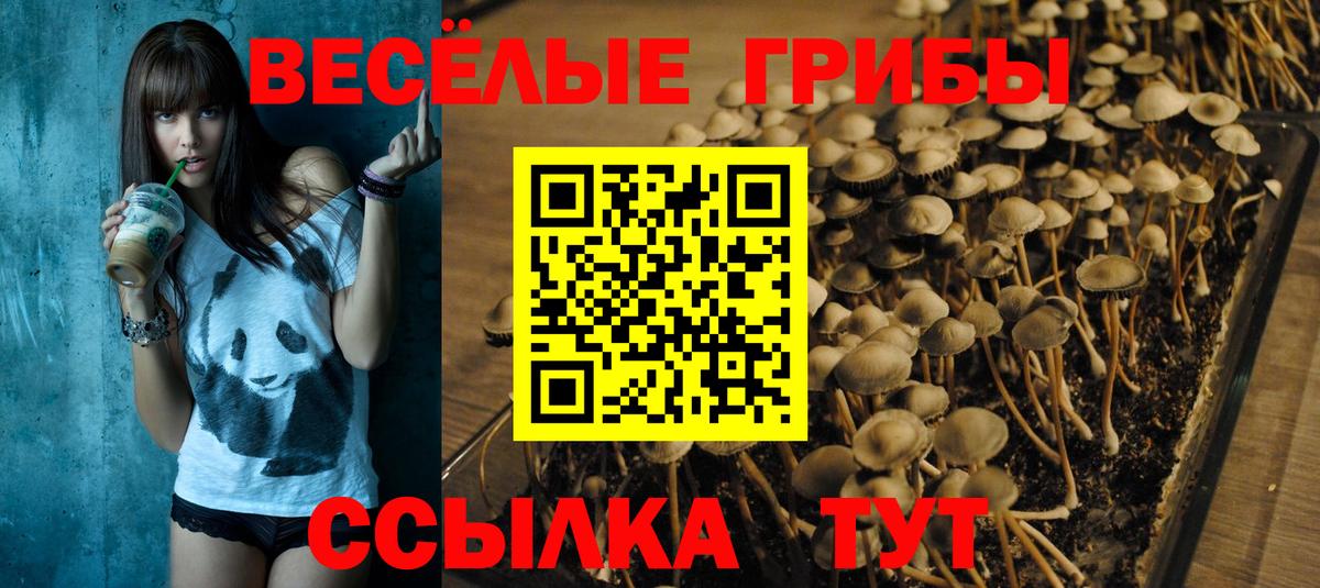 Псилоцибиновые грибы ЛСД Тара